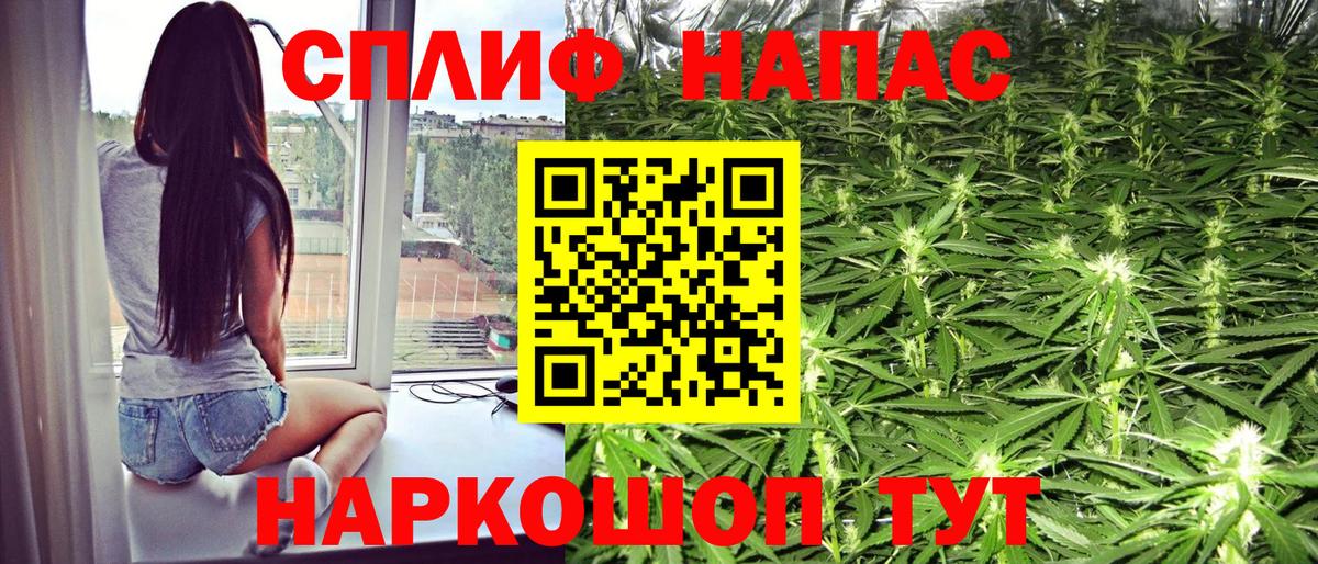 Бошки марихуана конопля Реутов